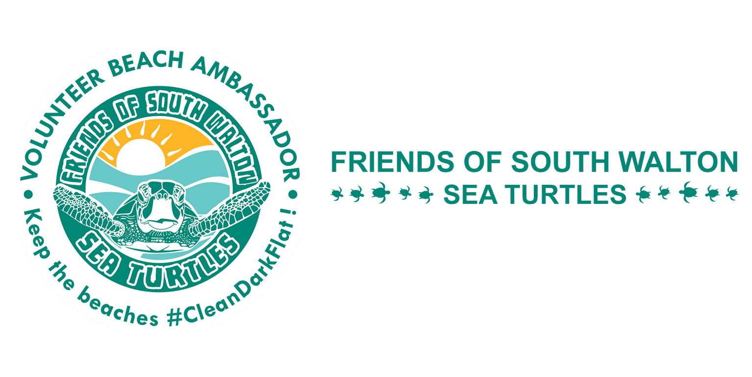 FOSWST Friends of South Walton Sea Turtles